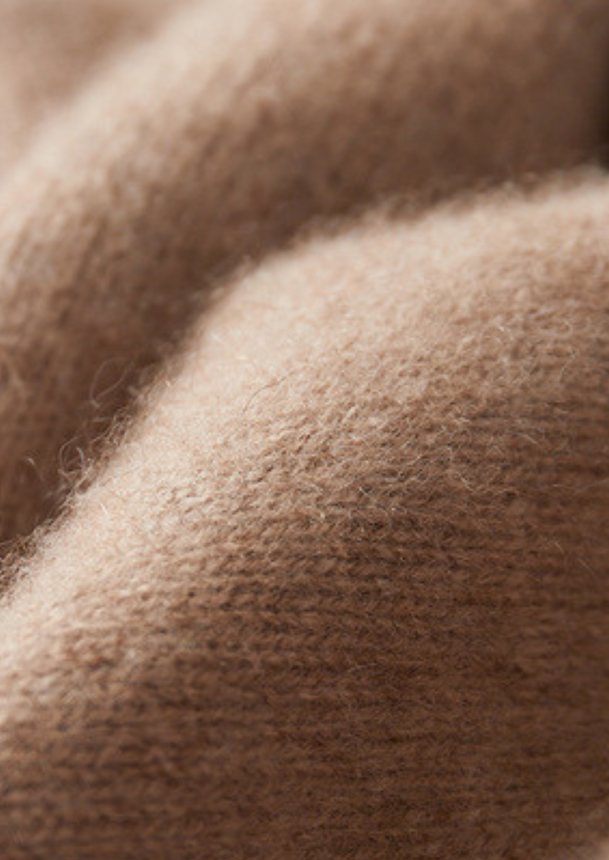 Pure Cashmere Beige Essential Crewneck | Roccella