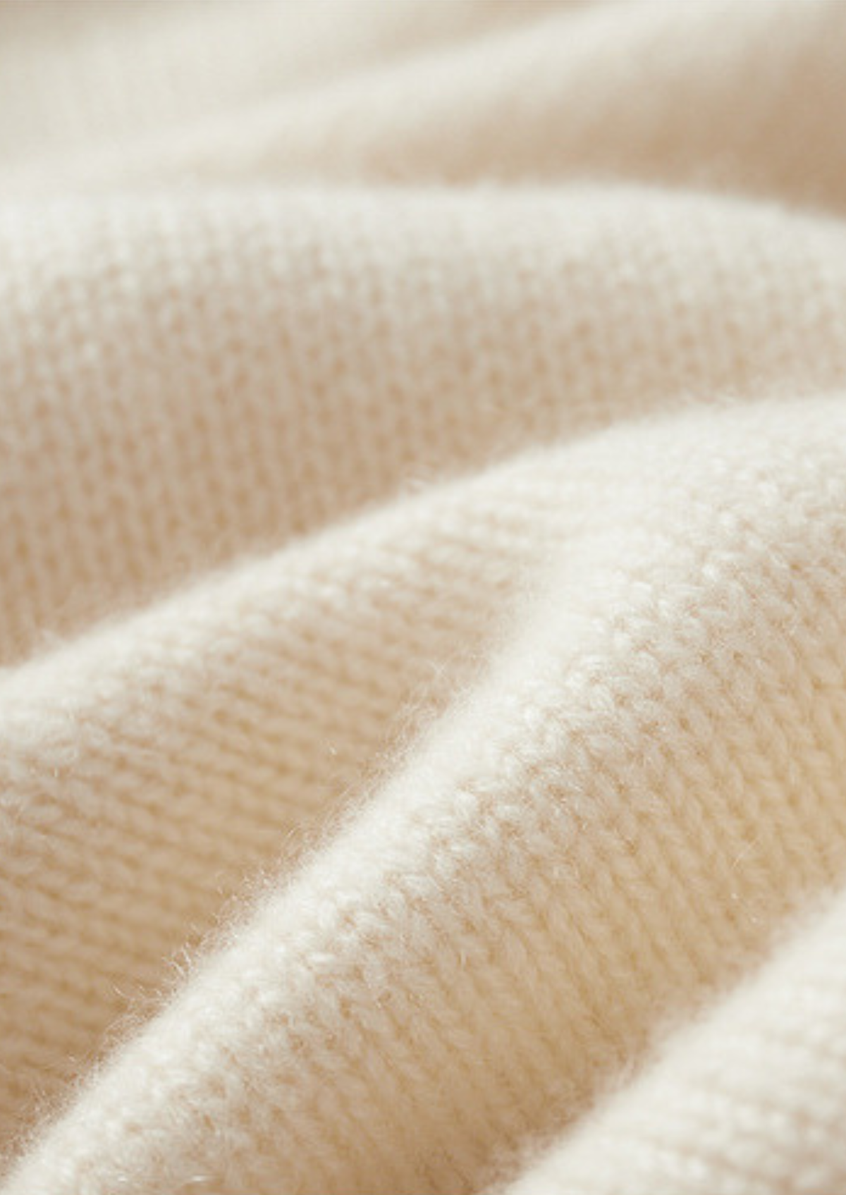 Pure Cashmere Ivory Essential Rollneck | Roccella
