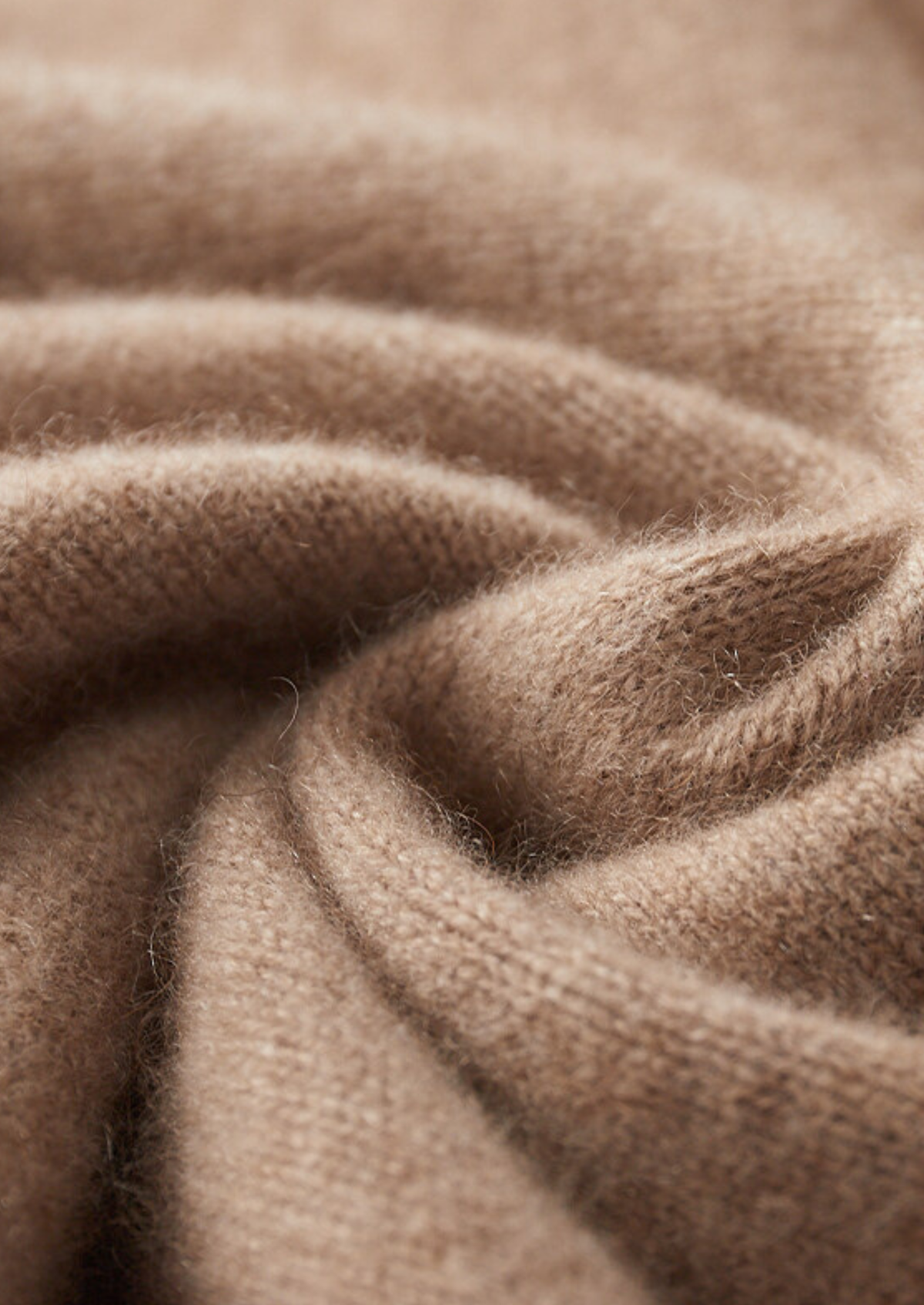 Pure Cashmere Beige Button Sweater | Roccella