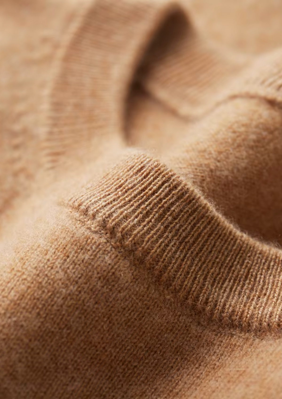 Premium Cashmere Classic Crewneck T-Shirt - Honey Mustard | Roccella